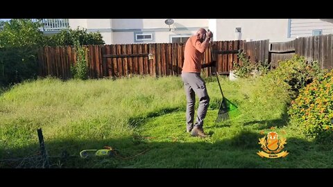 Yombo taking care of his overgrown backyard using a Ryobi.