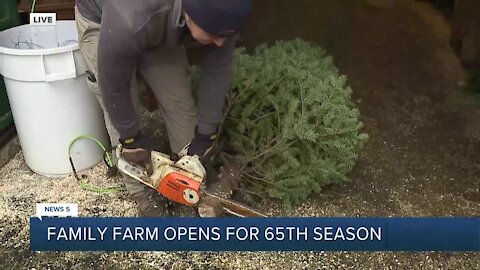 Family tree farm of more than 60 years gears up for busy holiday season