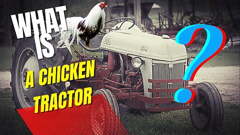What Is A chicken Tractor