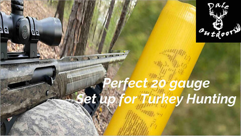 Stoeger Shotgun Set up for Turkey Hunting/ 20 Ga