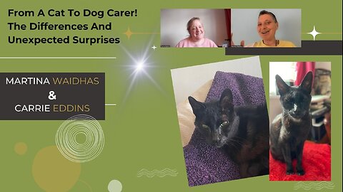 From A Cat To Dog Carer! The Differences And Unexpected Surprises 🐕 🐈 💜