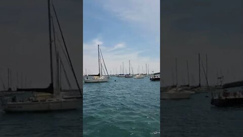 Sail Boats in the Windy City