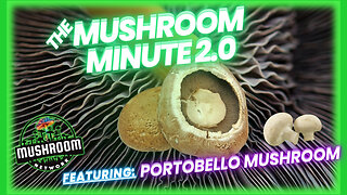 Portobello Wonders: Unveiling the Secrets of Your Favorite Mushroom | Mushroom Minute