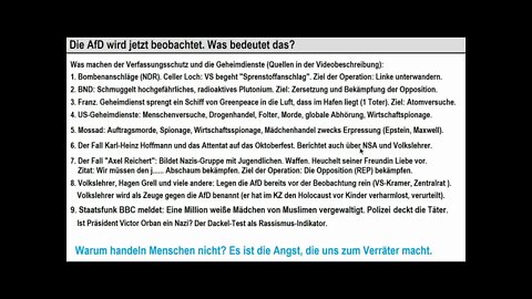 Die AfD und die Bombenleger vom Verfassungsschutz