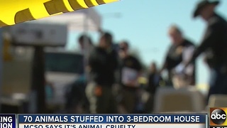 Dozens of animals removed from east Mesa home