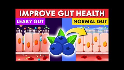 Top 5 Diabetic-Friendly Foods For Gut Health – Improve Your Microbiome NOW!