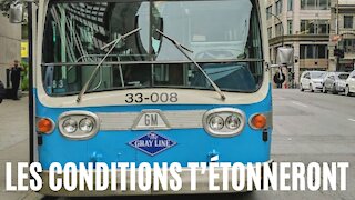 Une offre d'emploi de la STM de 1974 refait surface et les conditions sont surprenantes