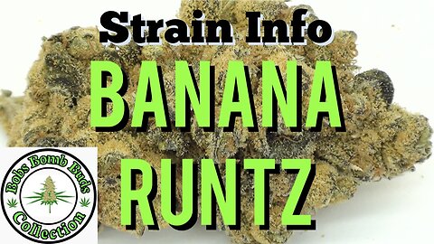 Banana Runtz From Ontario Cannabis Store