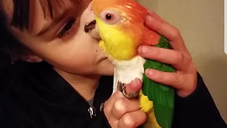 Adopted Parrot loves a little girl
