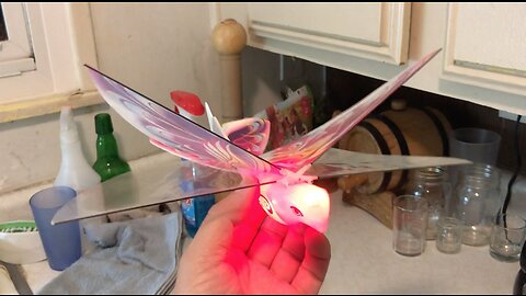 Remote Control E-Bird Butterfly Review ~ Great to Taunt your Cats!