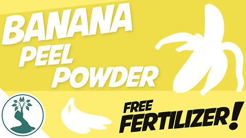 How To Make Banana Peel Powder | Banana Peel Fertilizer - Organic Fertilizer