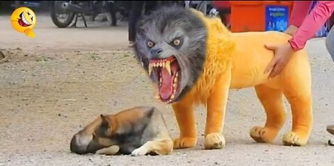 Troll prank for dogs and cats 🤣🤣🤣(FUNNY ANIMALS MOMENT 2023)