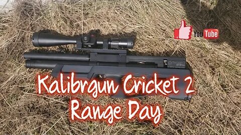 Kalibrgun Cricket 2 Bullpup 22 cal - Range Day 50 Yards