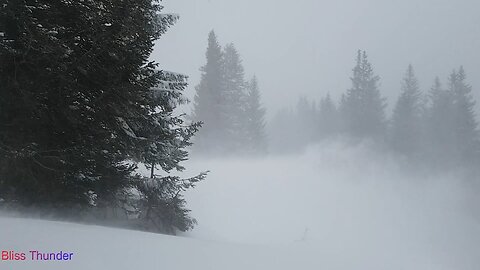 Snow Storm Blizzard Howling Wind For Sleeping And Relax