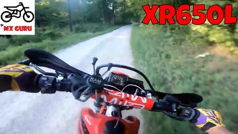 I FINALLY get to test ride a Honda XR650L ! ULTIMATE air cooled Dual Sport?!