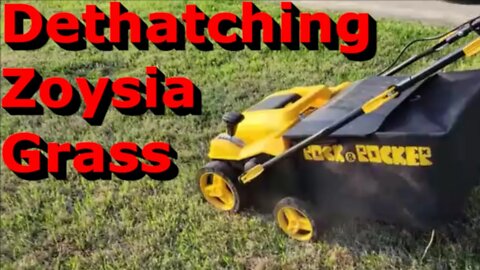 Dethatching Zoysia Grass - Rock&Rocker Electric Dethatcher Scarifier
