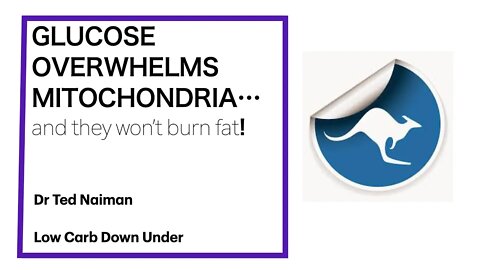 Ted Naiman 5: GLUCOSE OVERWHELMS MITOCHONDRIA...and they will not burn fat