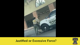 Justified or Excessive Force?