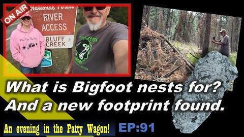 Bigfoot Nest found 2 - Bigfoot Print Found