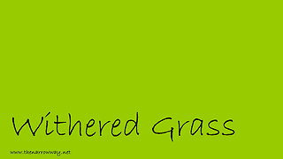Withered Grass