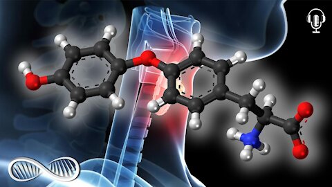 Thyronine "T2" - Top 9 Benefits of this Thyroid Biohack