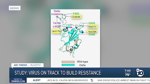 Study: Virus on track to build resistance