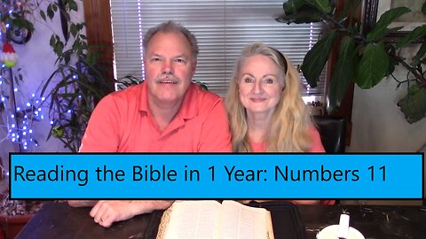 Reading the Bible in 1 Year - Numbers Chapter 11