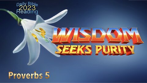 DBR2023: Wisdom Seeks Purity