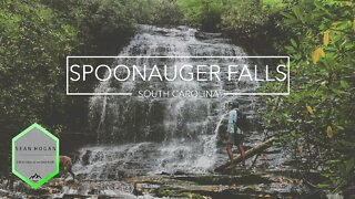 Spoonauger Falls, SC -- 4K Cinematic