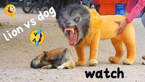 Dog vs fake lion // watch