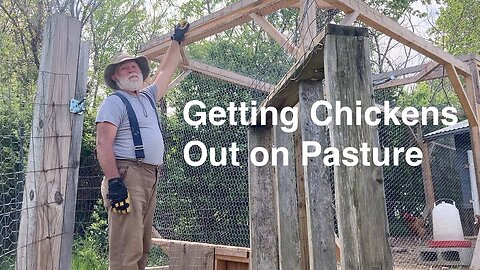 Low Cost Preparation for Chicken Pasture