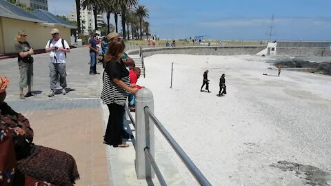 SOUTH AFRICA - Cape Town - Sea Point Drowning (Video) (uk6)