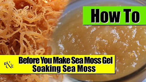 Soaking Dry Sea Moss to make Sea Moss Gel