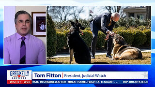 Joe Biden’s Dog ATTACKING Secret Service Personnel!