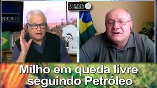 Milho em queda livre seguindo Petróleo