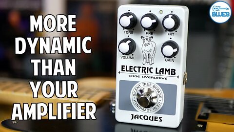 Jacques Electric Lamb Edge Overdrive - Better Dynamics Than Your Amplifier!