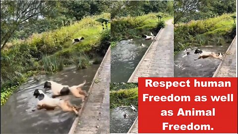 Respect human freedom as well as animal freedom.