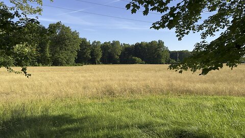 Regenerative Grazing Journey: West Fork Pasture “Before”