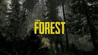 The Forest Edit