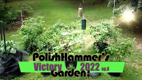 Victory Garden ep 8 "W.A.G.!" 🍅🥒🌩⛅🔨😎