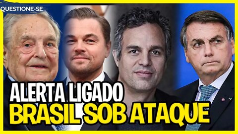 O Brasil está sob ataque! Mini Dossiê. Leo DiCaprio x Bolsonaro