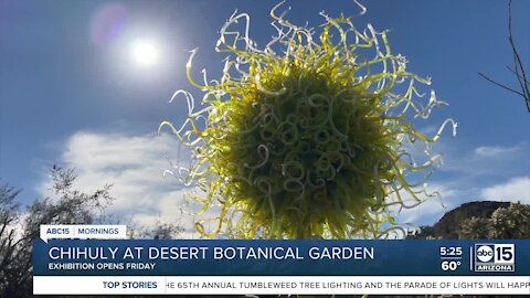 Sneak peek: Chihuly exhibition opens Friday at Desert Botanical Garden
