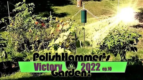 Victory Garden ep 10 "Don't let the sun go down on me" 🍅🥒🥔🔨🌤😎