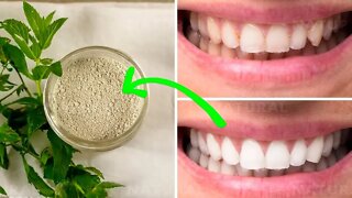 Make This Powder To Clean & Whiten Your Teeth Naturally