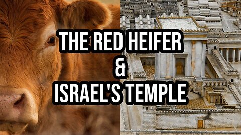 The Red Heifer & Israel's Third Temple