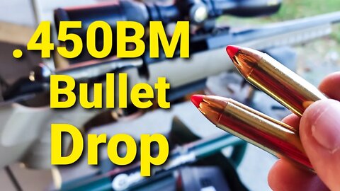 450 Bushmaster Bullet Drop - Demonstrated and Explained