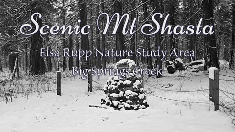 Scenic Mt Shasta - Elsa Rupp Nature Study Area
