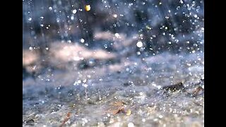 Meditative Rainfall Nature's Symphony Stress-Relieving Rain