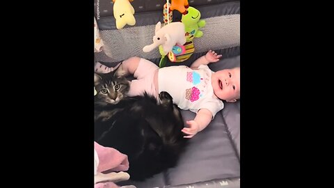 Cats love for cute baby 💔