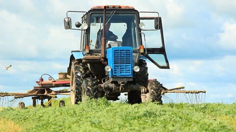 Tractor Field Cleaning Storks